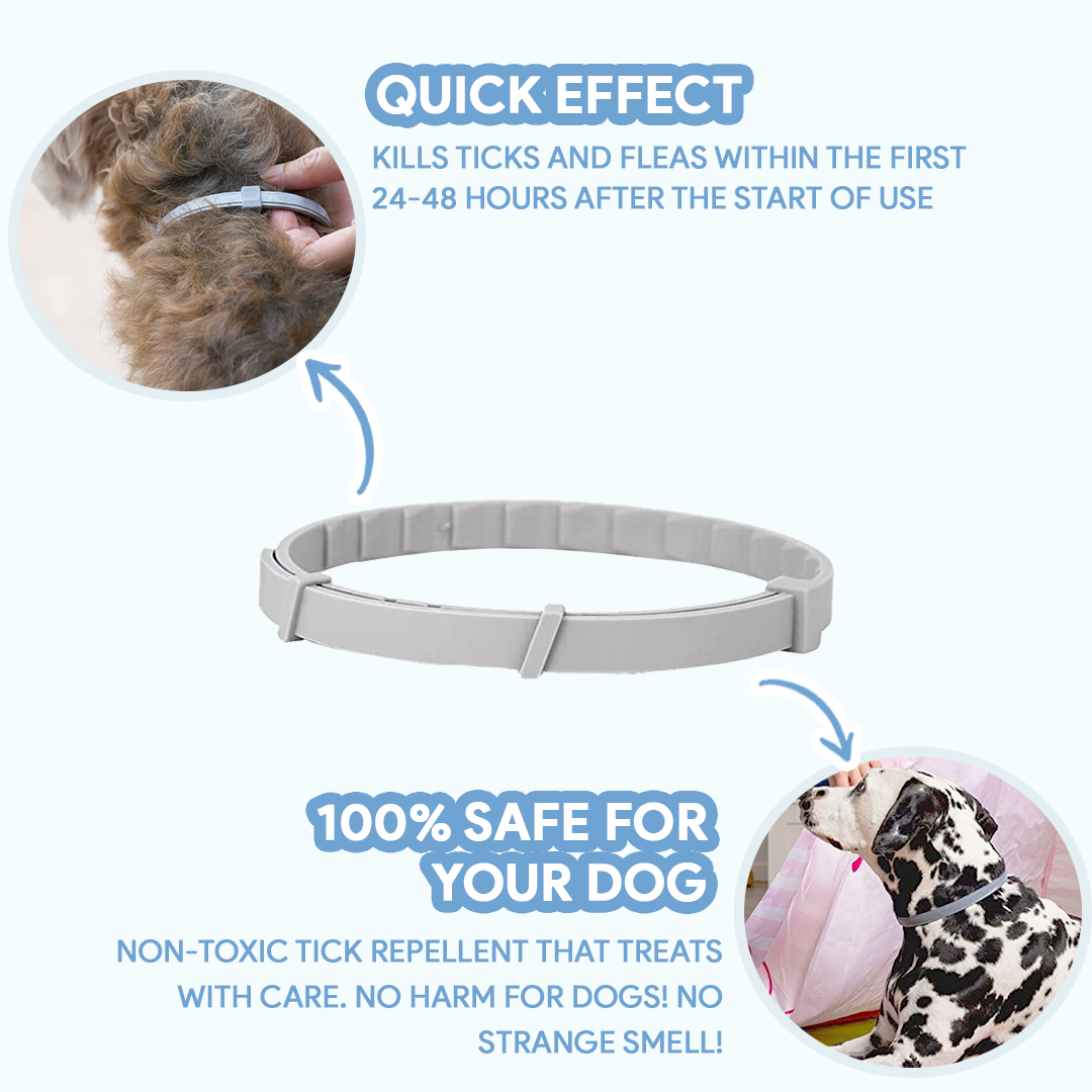 AntiTickCollar™ V.2. - Flea and tick repellent for up to 8 months!