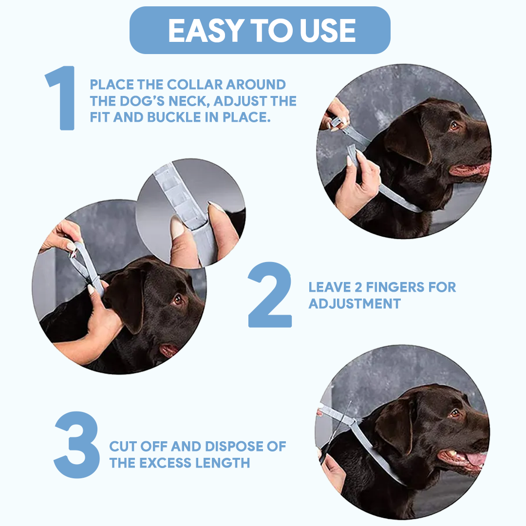 AntiTickCollar™ V.2. - Flea and tick repellent for up to 8 months!