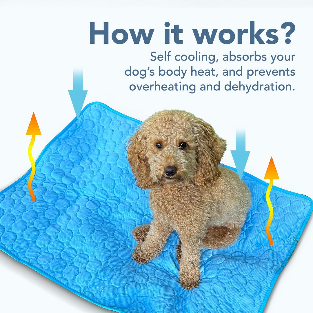 PetCool™ V.3 - Pet Cooling Mat